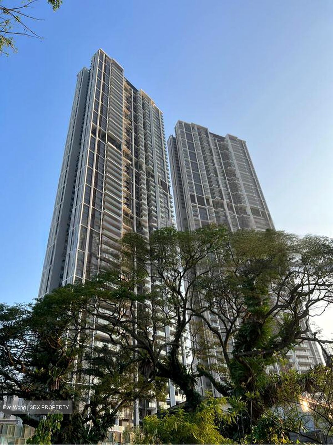 Avenue South Residence (D3), Apartment #454765241